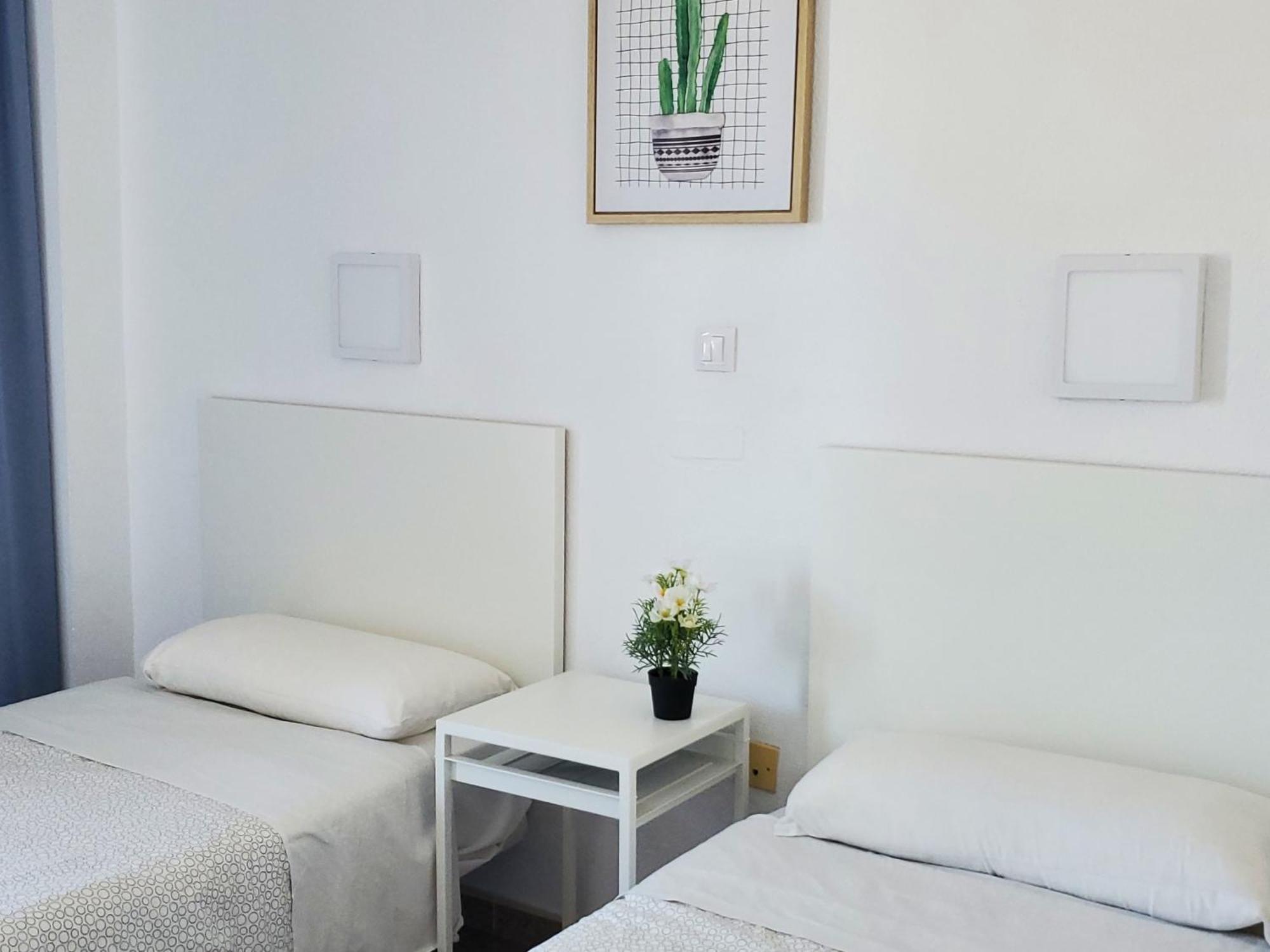 Las Camelias Apartments Ci15 ปลายา เดล อิงเกลส ภายนอก รูปภาพ
